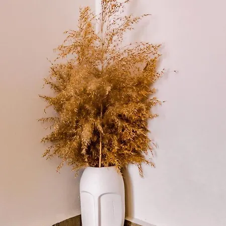 Old Town מלון 3*