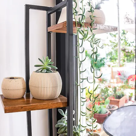 Old Town מלון 3*