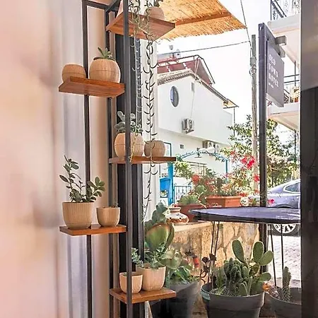 Old Town &